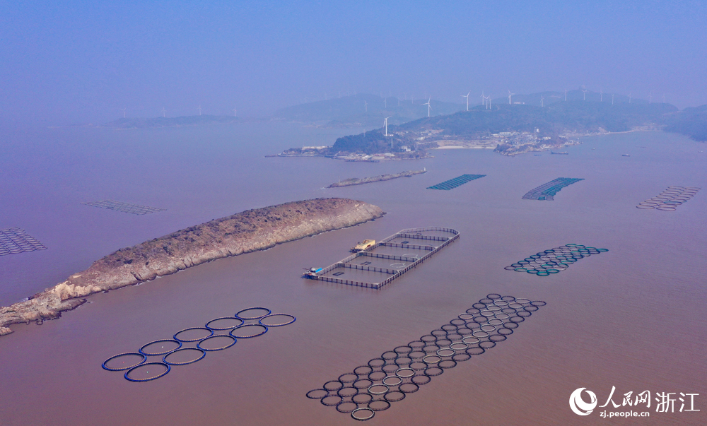 大陈岛的深海黄鱼养殖基地。人民网记者 郭扬摄