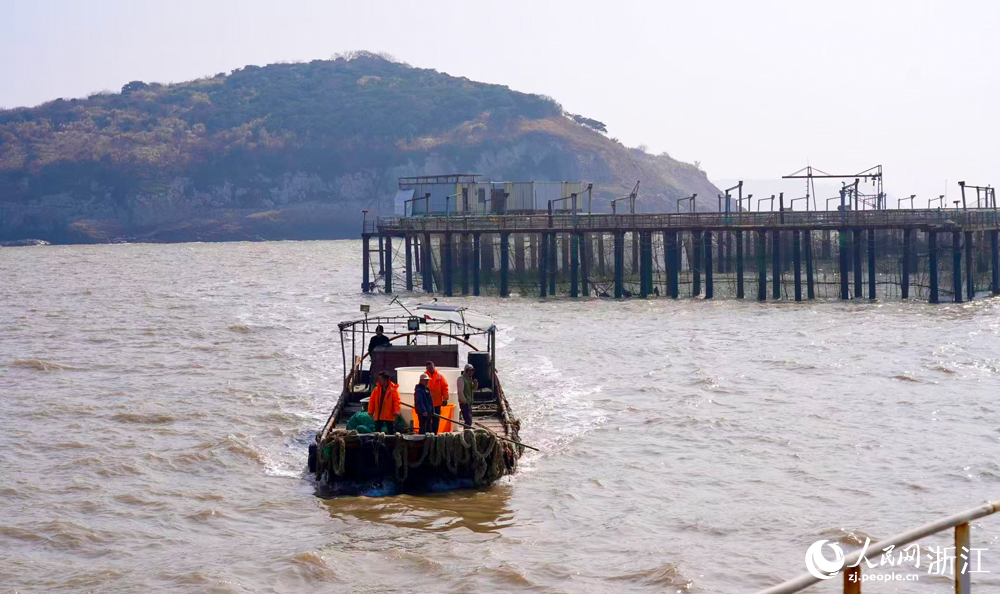 收网作业的船只正在忙碌着。人民网记者 郭扬摄