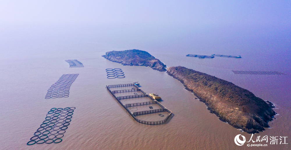 大陈岛的深海黄鱼养殖基地。人民网记者 郭扬摄