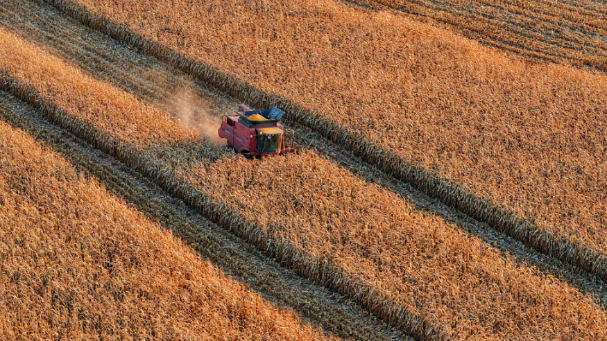 热点追踪丨中央一号文件的热词里，藏着未来的发展信号
