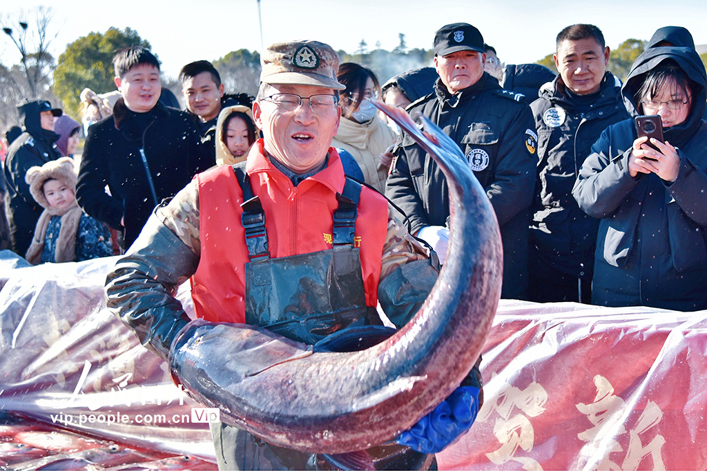 江苏如皋：龙游湖冬捕迎新春