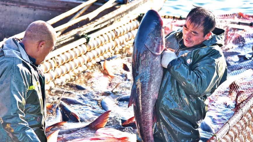 江苏如皋：龙游湖冬捕迎新春