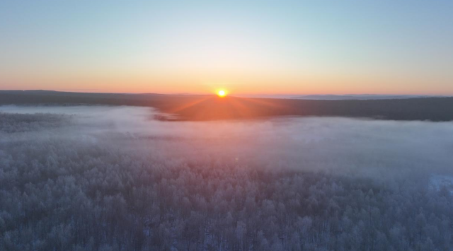 1770619294217231.png 11.png