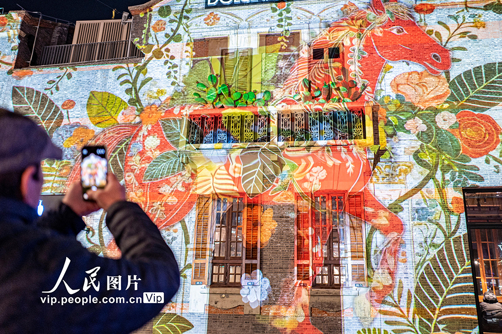 上海：光影盛宴迎新春【2】