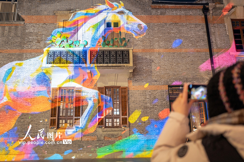 上海：光影盛宴迎新春【6】