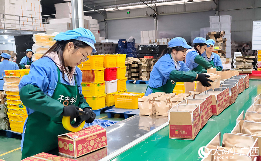 一箱箱融安金桔即将进入年货市场。