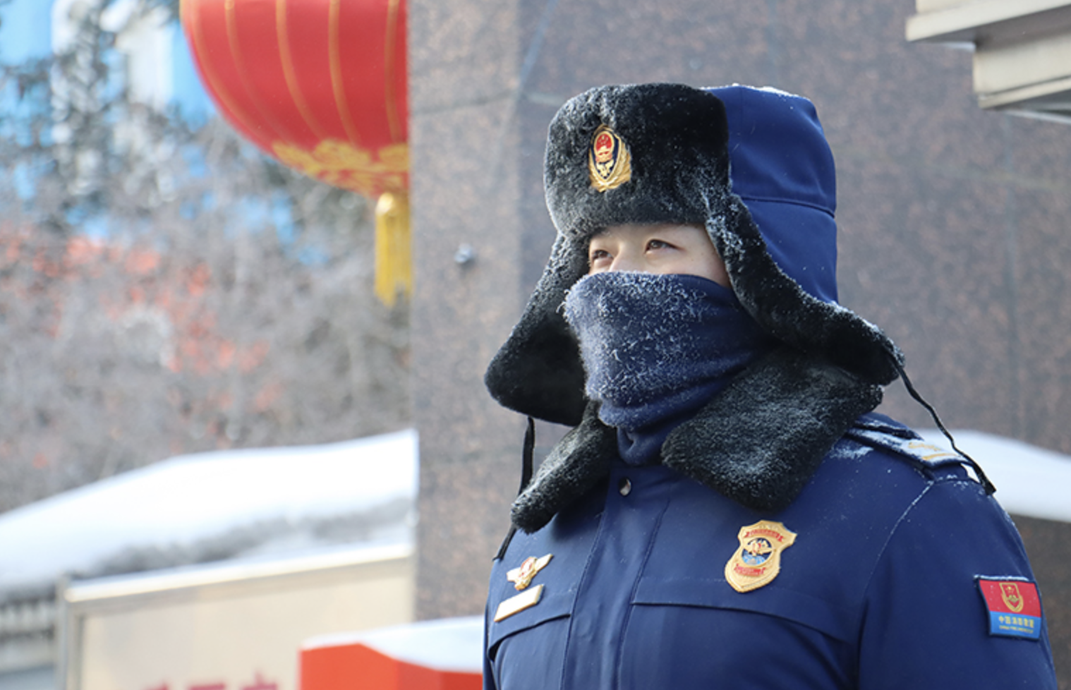 截屏2026-02-14 17.16.51.png