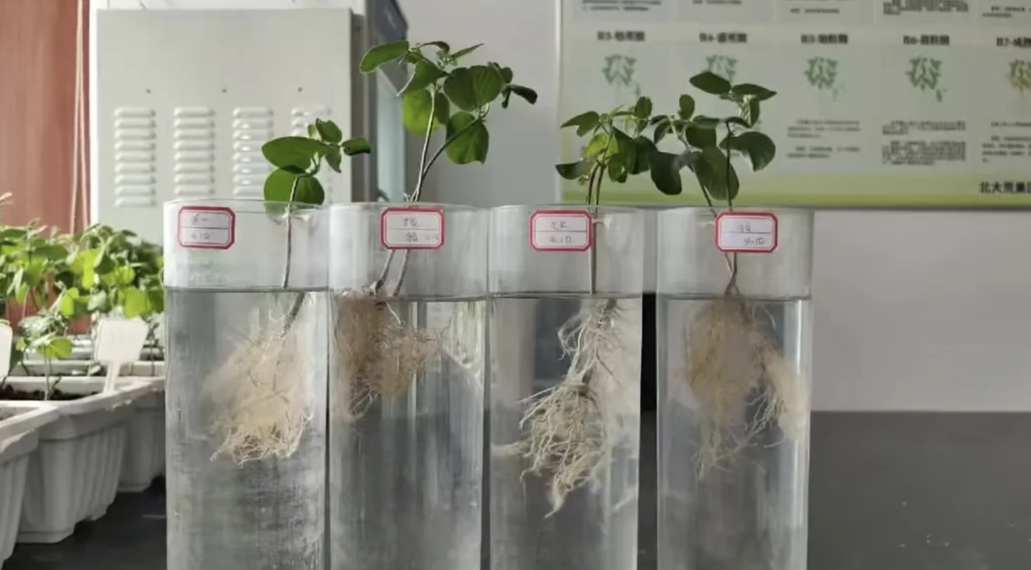 1771061081144512.png 截屏2026-02-14 17.20.00.png