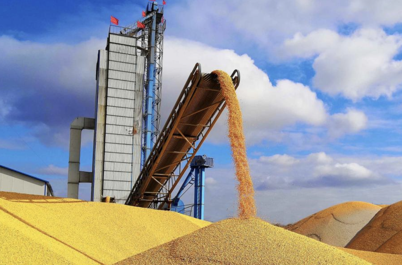 截屏2026-02-14 17.28.41.png