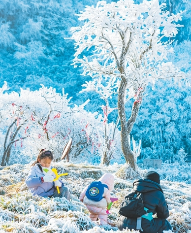 1771635239784388.png 22.png