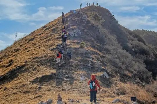 “上山”格外耗费体力，人们为何争相参与？