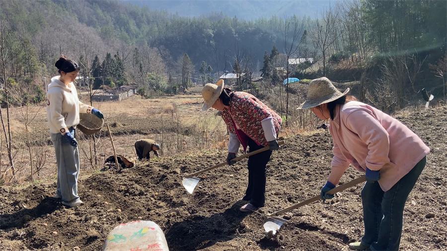 1772185436977524.jpg 1.jpg