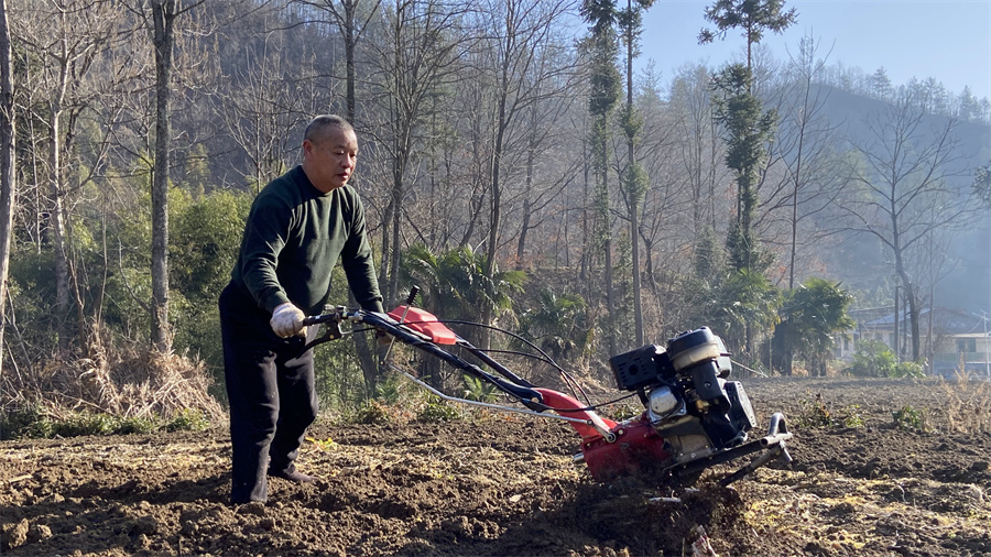 1772185441277729.jpg 2.jpg