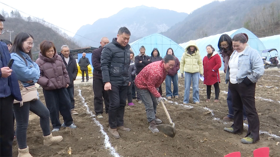 1772185446506391.jpg 3.jpg