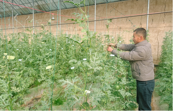 1772701521797257.png 照片1.png