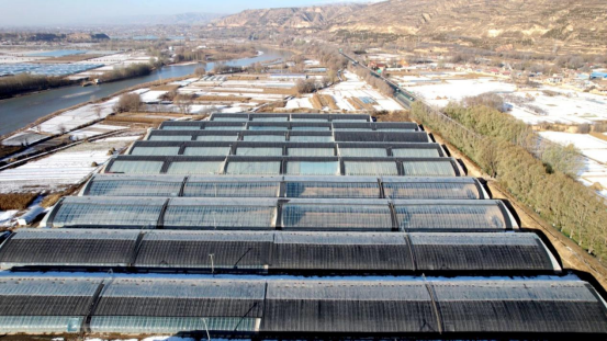 1772701529289192.png 照片3.png