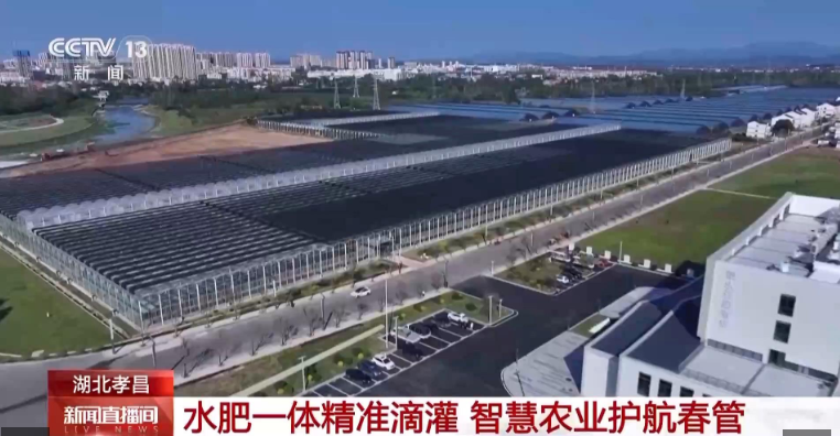 1773021962785828.png fd8b577a-ffb6-47b2-be11-1e6a558efd94.png