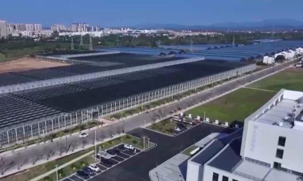 技术装备上新 春耕春管“科技范儿”满满