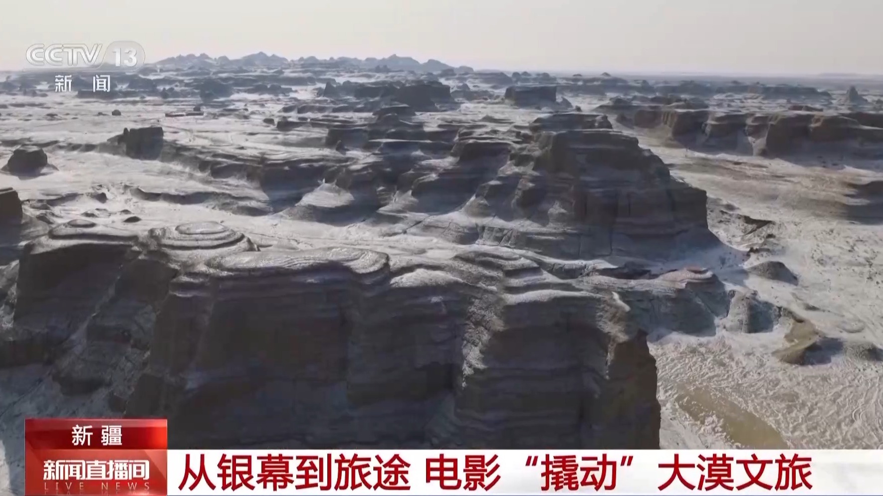 1773022099673966.jpg 1.jpg