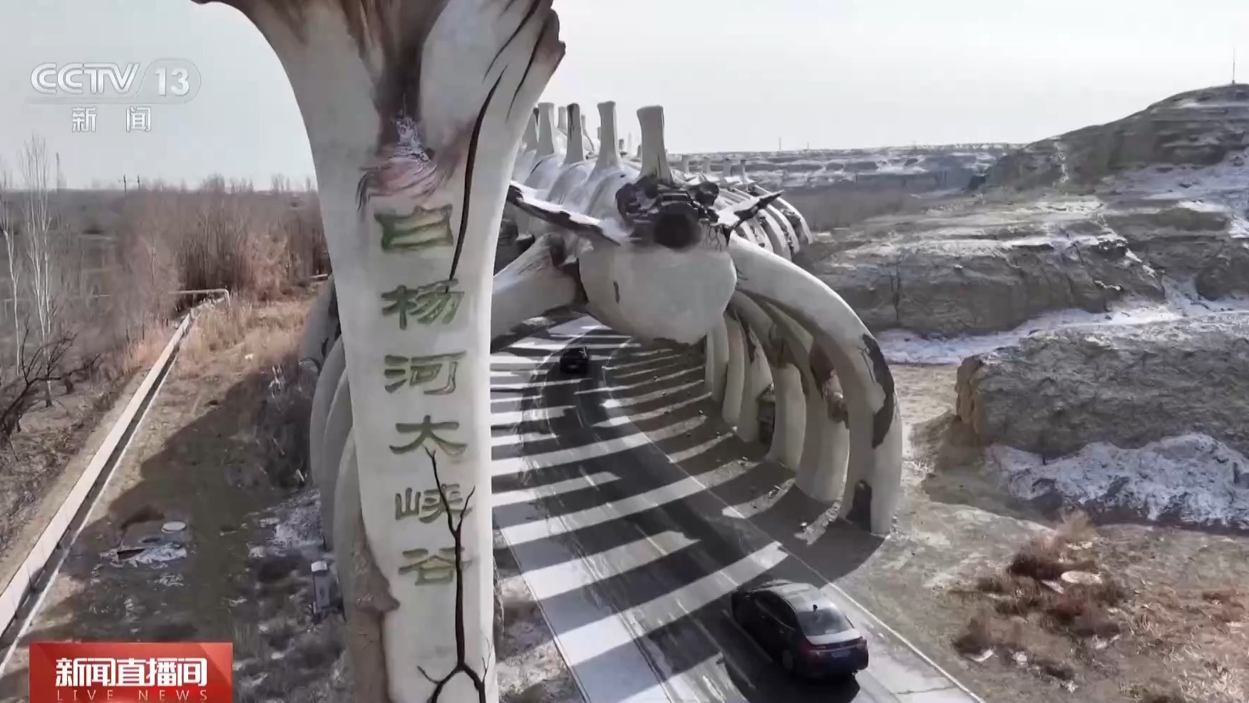 1773022114210366.jpg 4.jpg