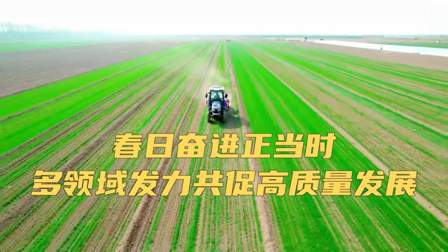 新华视点丨春日奋进正当时 多领域发力共促高质量发展