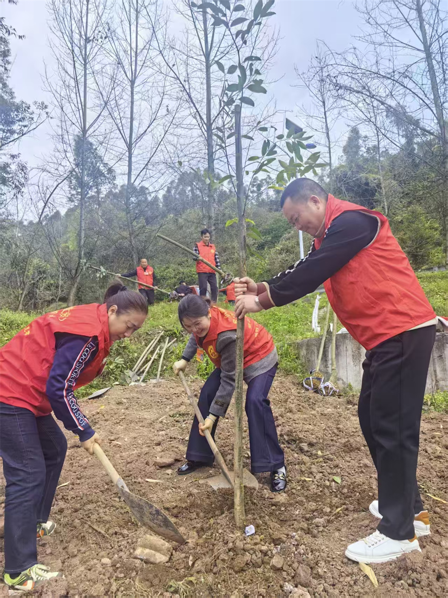 代表们参与植树活动.jpg