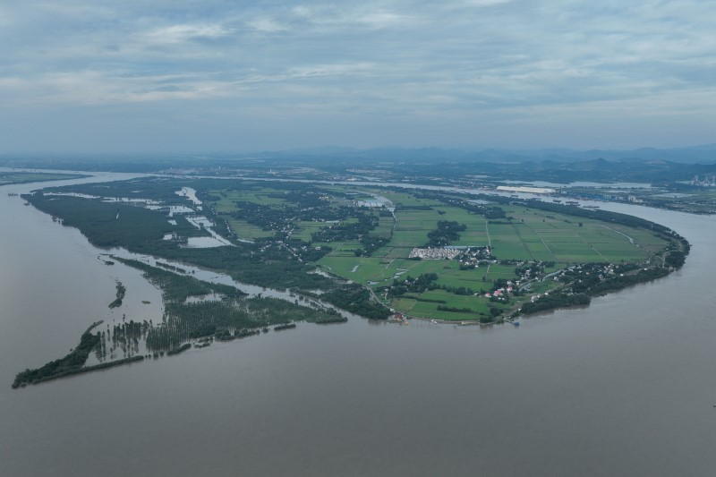 1773386911524992.png 图片1.png