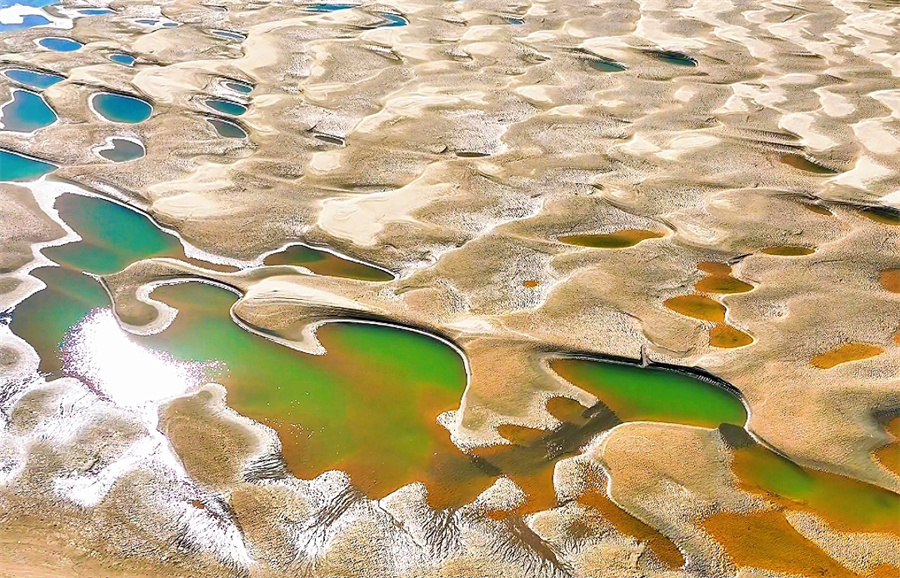 1773386991663325.jpg 图片3.jpg