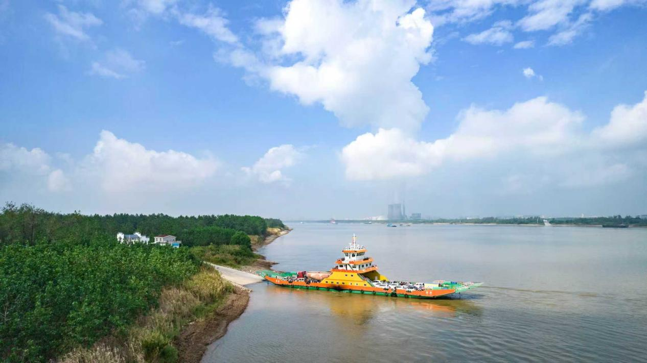 1773386996340937.png 图片4.png