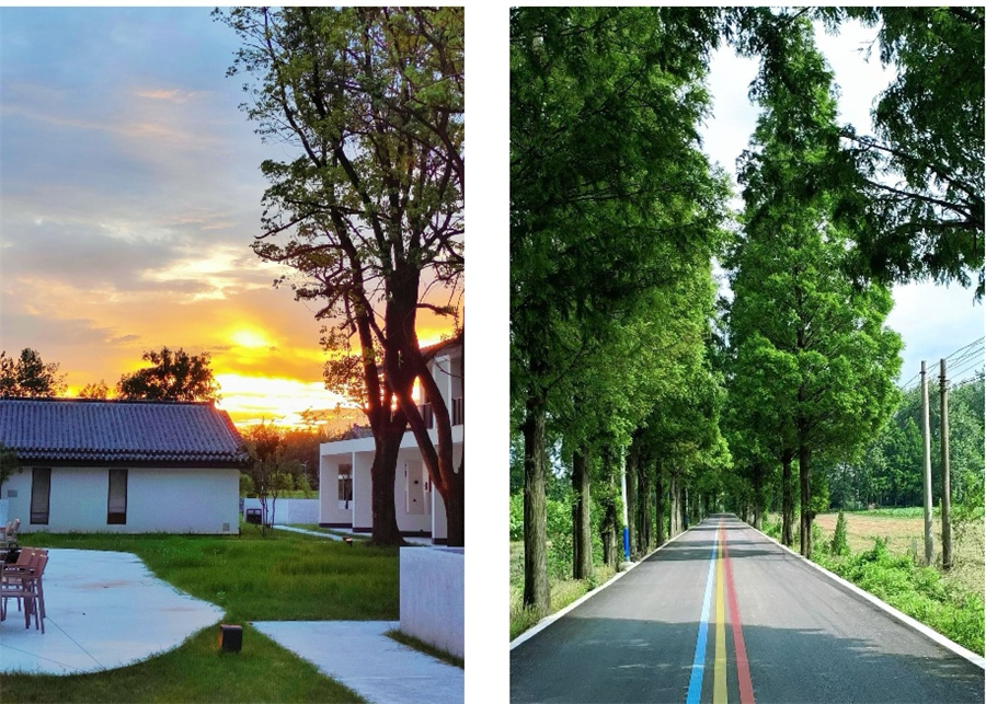 1773387001993854.jpg 图片5.jpg