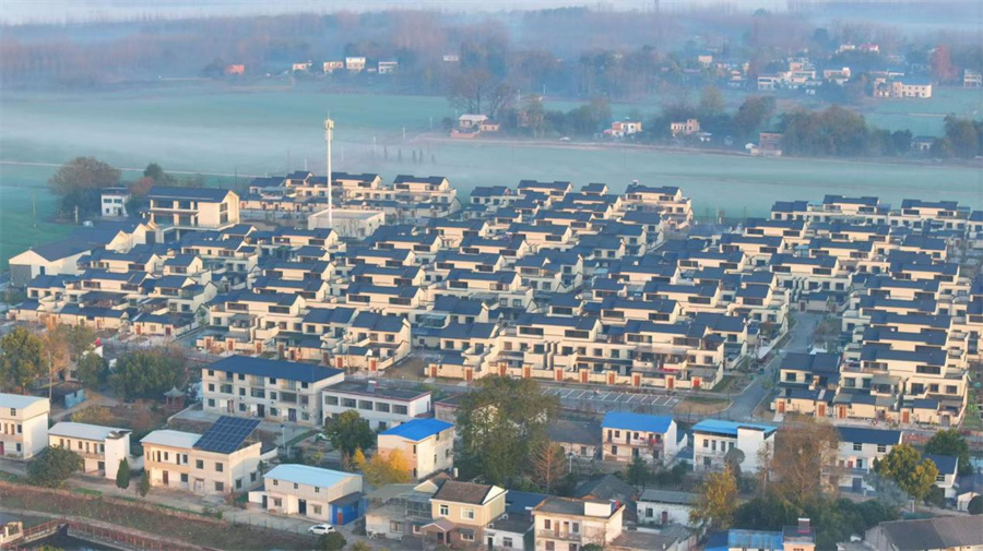 1773387005517341.jpg 图片6.jpg