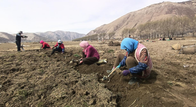 1774339732255320.png 22.png