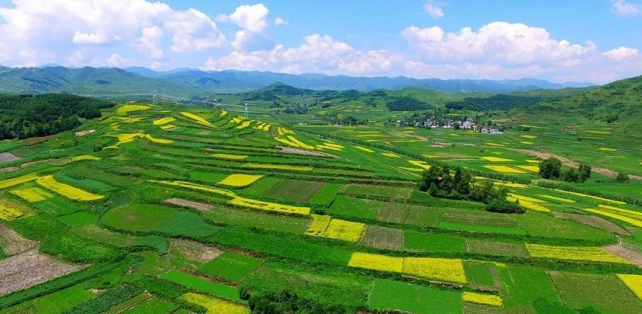 1774339748892772.png 55.png