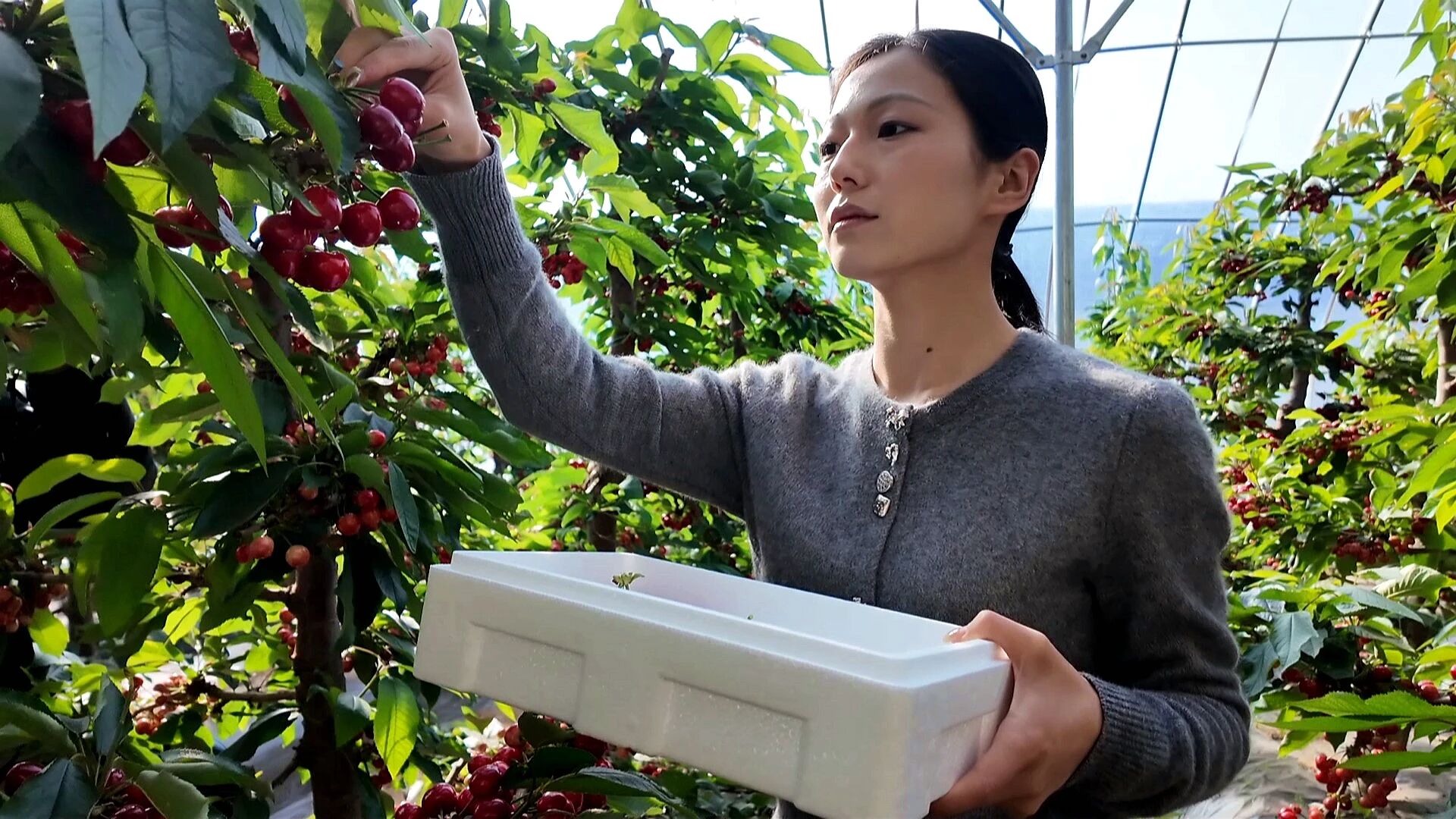 1774594874403658.jpg 照片2.jpg