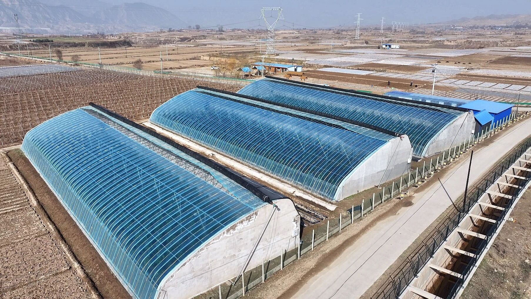 1774594882142250.jpg 照片3.jpg