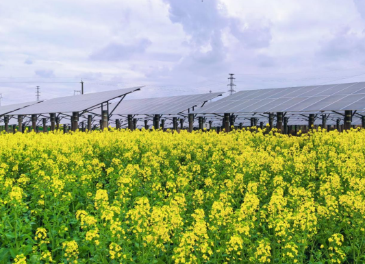 1774601038508930.png 11.png