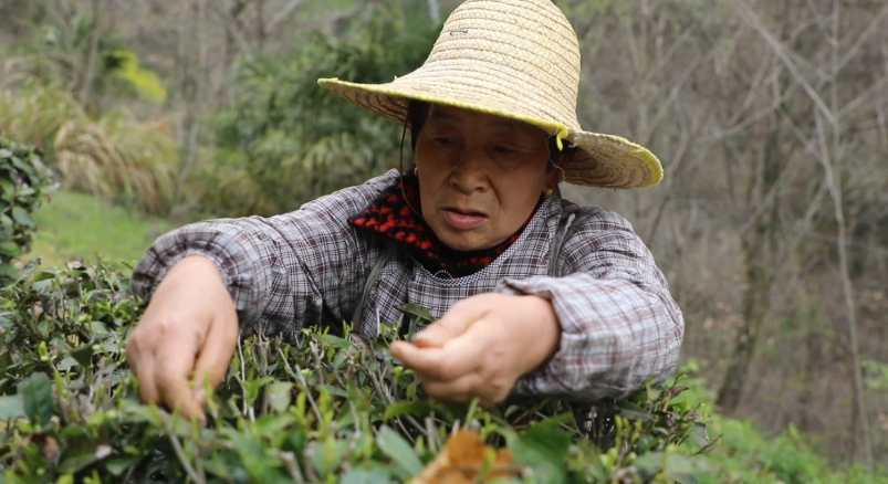 1774838764557134.png 11.png