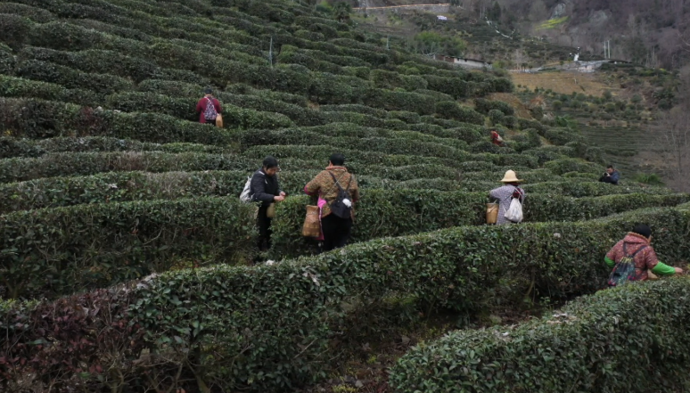 1774838770604058.png 22.png