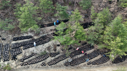 1774852374931300.png 11.png