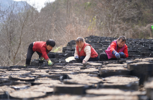 1774852382639328.png 22.png