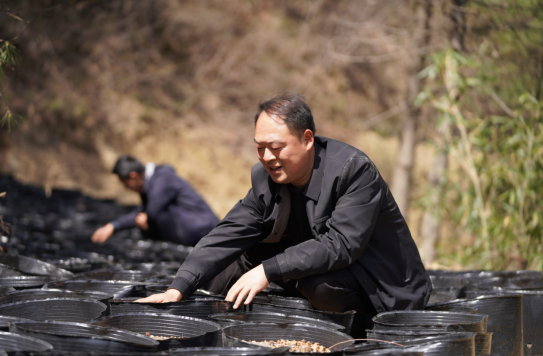 1774852390952066.png 33.png