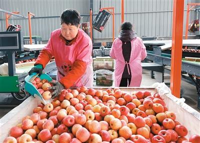 中央财政为乡村产业发展“撑腰”（锐财经）