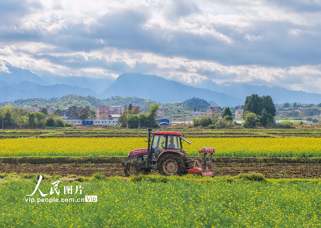 湖南道县：翻耕农田