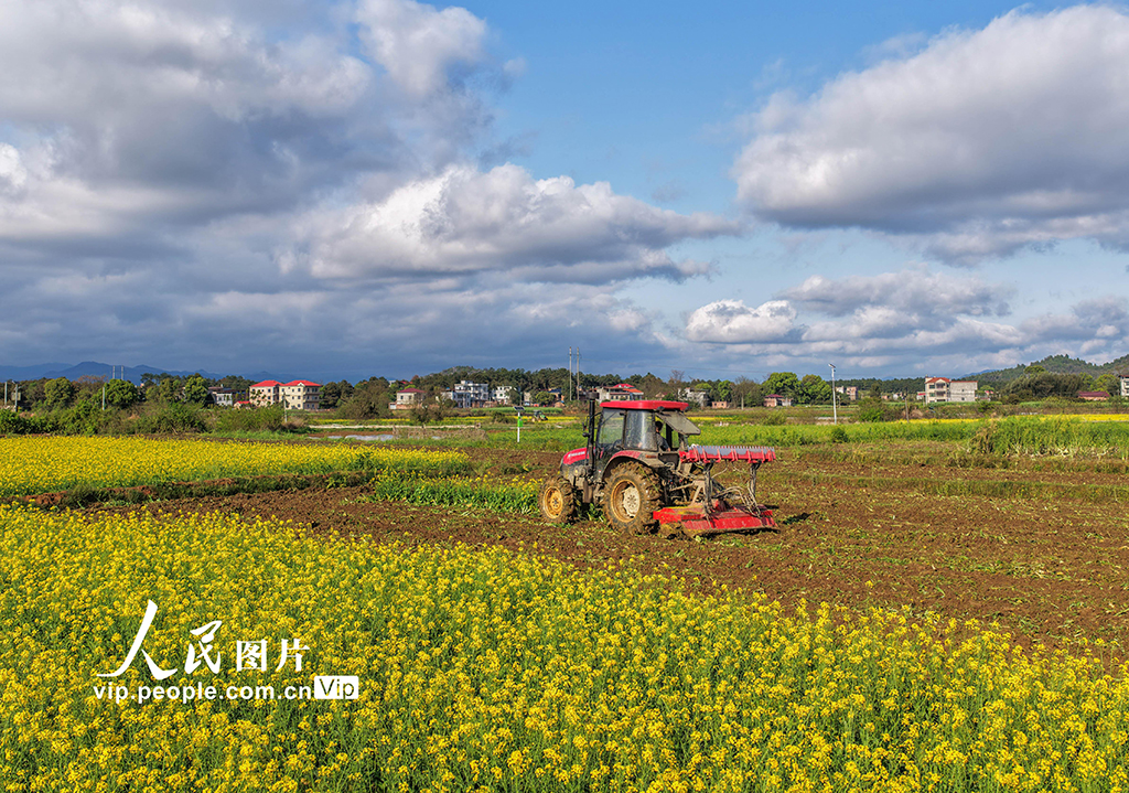 湖南道县：翻耕农田【6】