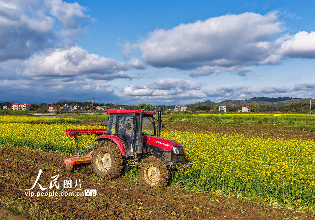 湖南道县：翻耕农田【7】