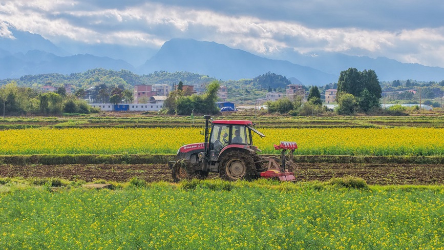 湖南道县：翻耕农田