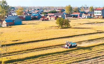 美以伊戰(zhàn)事波及全球農(nóng)業(yè)生產(chǎn)