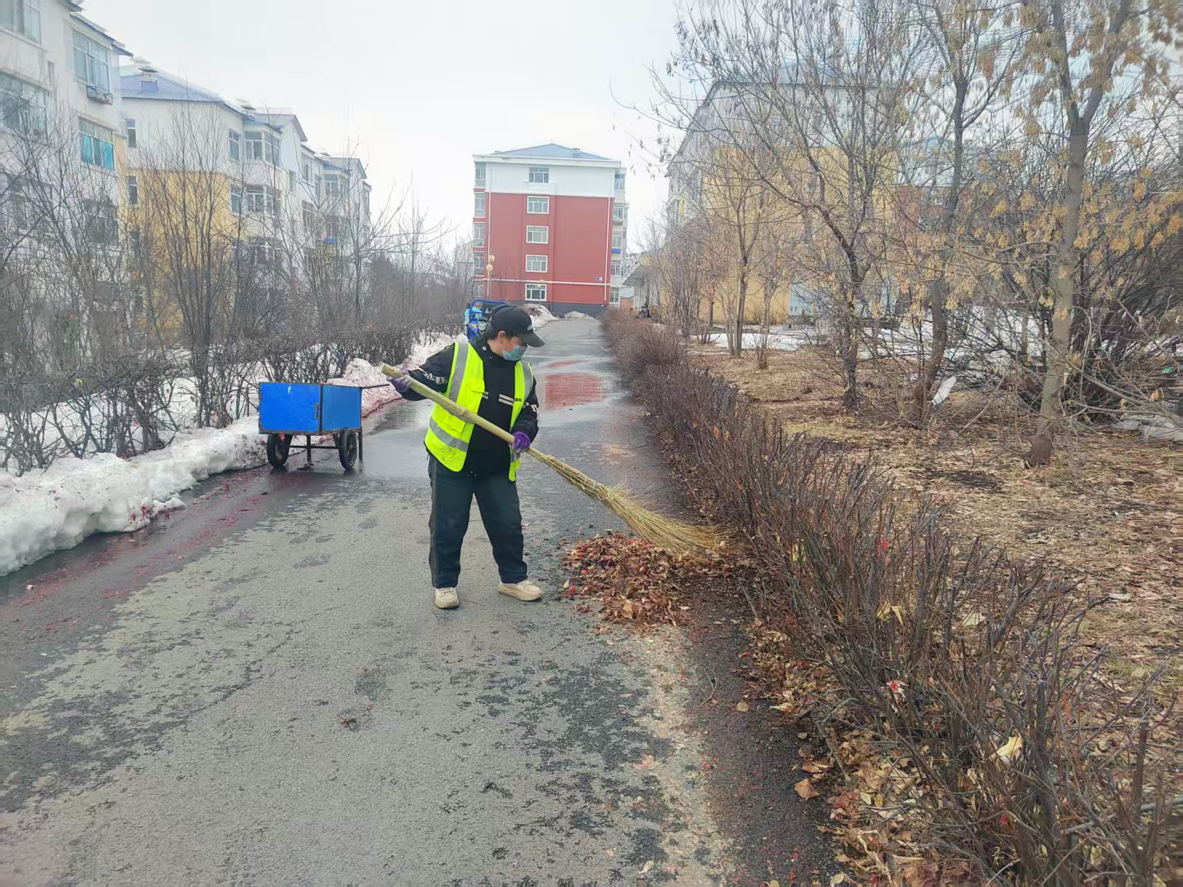 清理小区环境.jpg