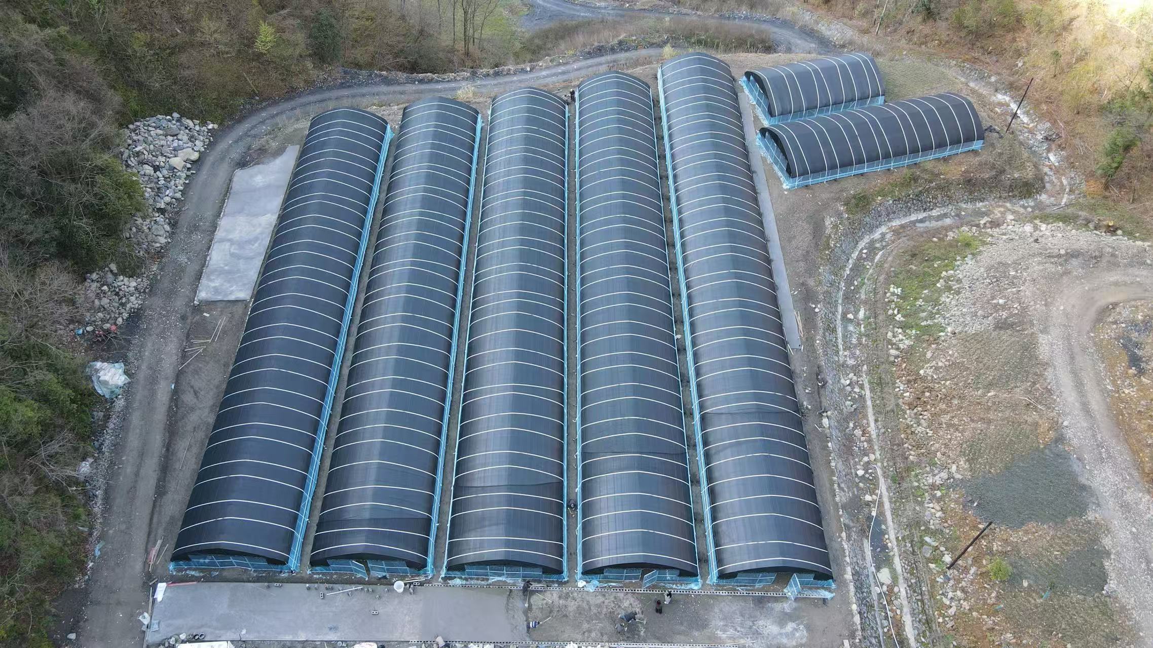 1775118877241769.jpg 7 座标准化大棚连片成景,将打造县域中草药育苗基地。.jpg