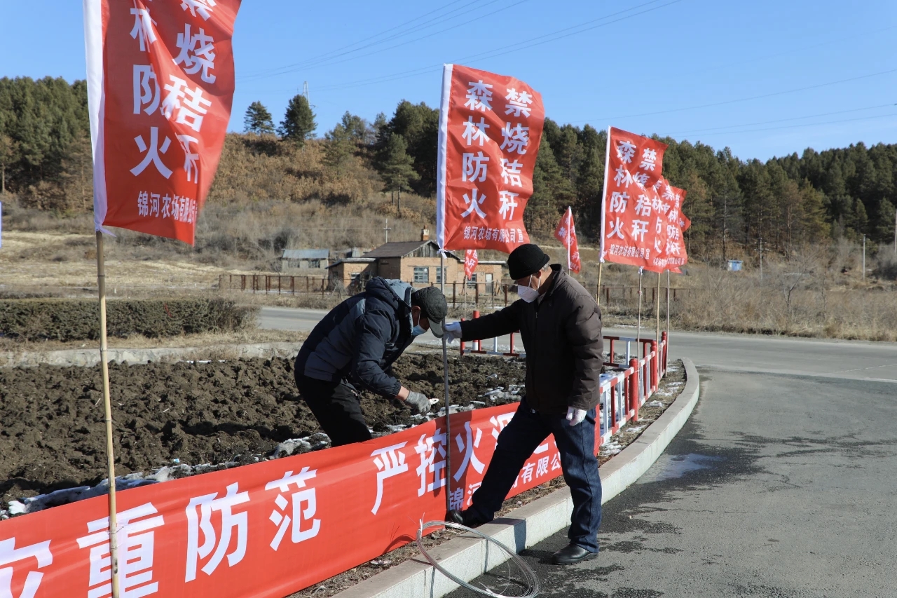 锦河农场有限公司安插防火旗  王洪玲摄.jpg